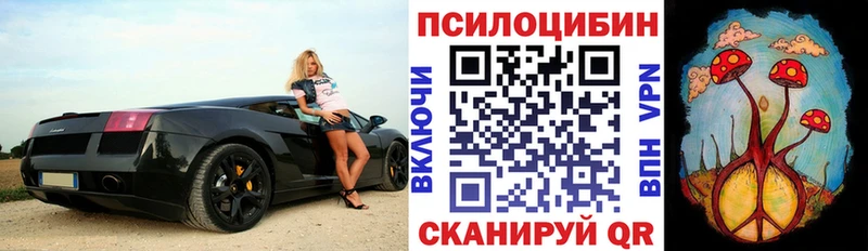 Купить где  Вытегра  Галлюциногенные грибы мицелий 