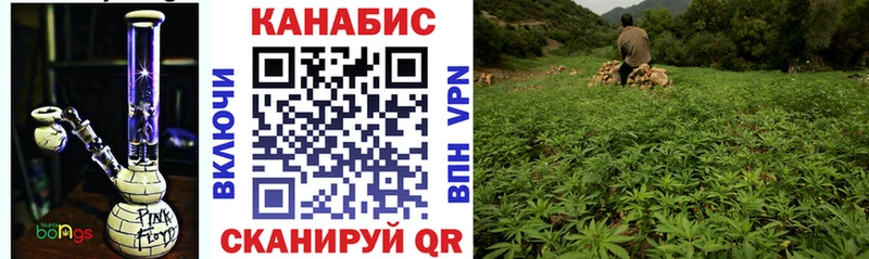 Конопля конопля  Купить где  Вытегра 